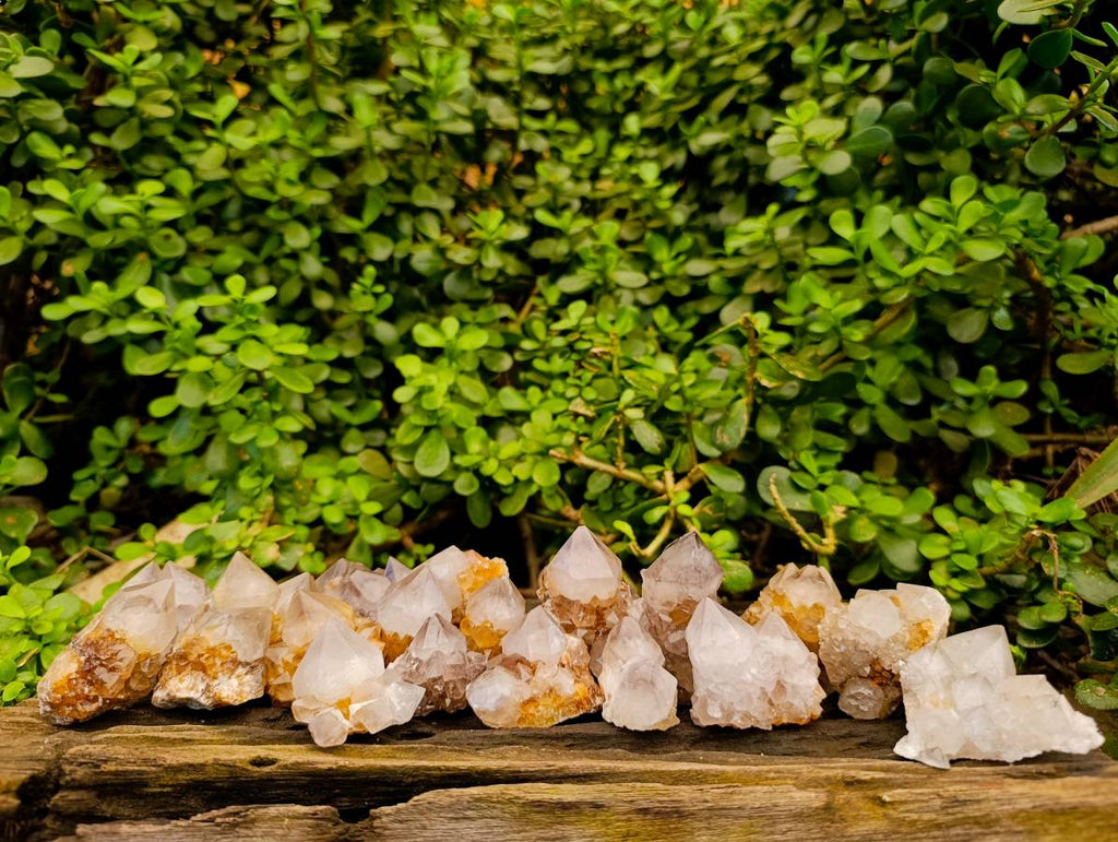 Natural Amethyst and Spirit Quartz Crystals x 20 From Boekenhouthoek, South Africa - Toprock Gemstones and Minerals 