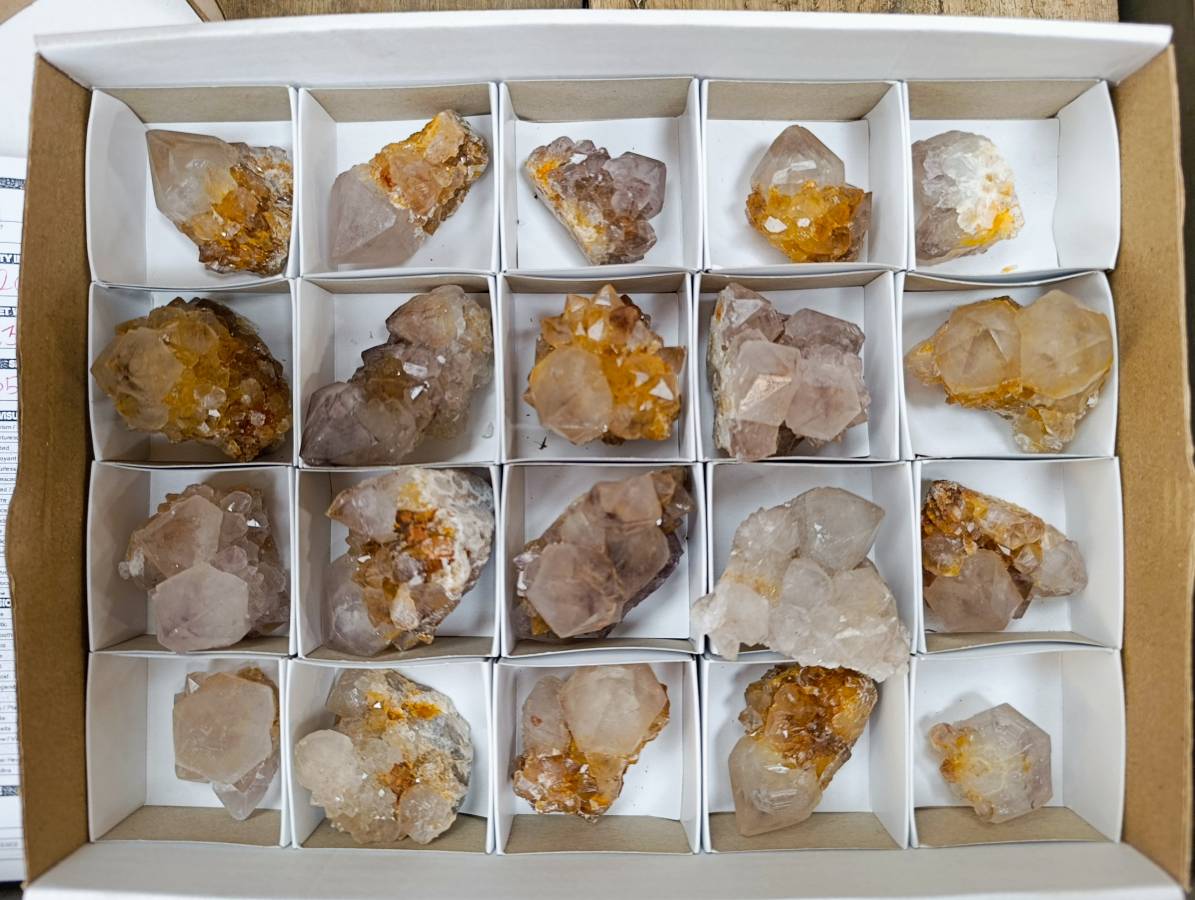 Natural Amethyst and Spirit Quartz Crystals x 20 From Boekenhouthoek, South Africa - Toprock Gemstones and Minerals 