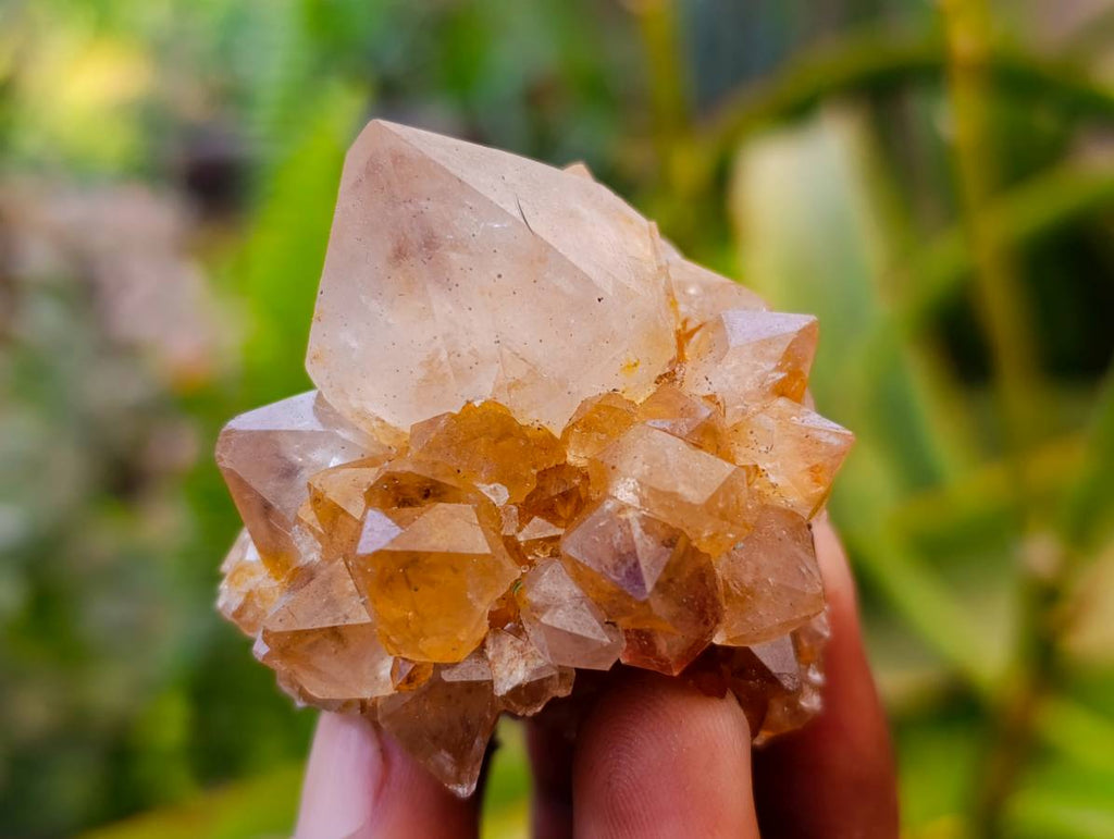 Natural Amethyst and Spirit Quartz Crystals x 20 From Boekenhouthoek, South Africa - Toprock Gemstones and Minerals 