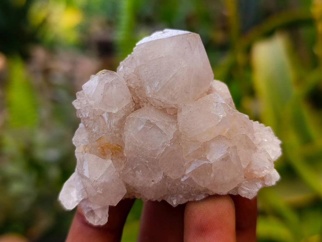Natural Amethyst and Spirit Quartz Crystals x 20 From Boekenhouthoek, South Africa - Toprock Gemstones and Minerals 