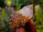 Natural Amethyst and Spirit Quartz Crystals x 20 From Boekenhouthoek, South Africa - Toprock Gemstones and Minerals 