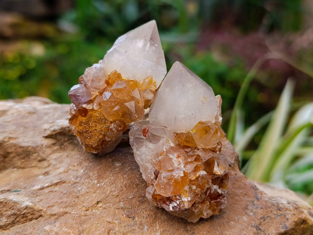 Natural Amethyst and Spirit Quartz Crystals x 20 From Boekenhouthoek, South Africa - Toprock Gemstones and Minerals 