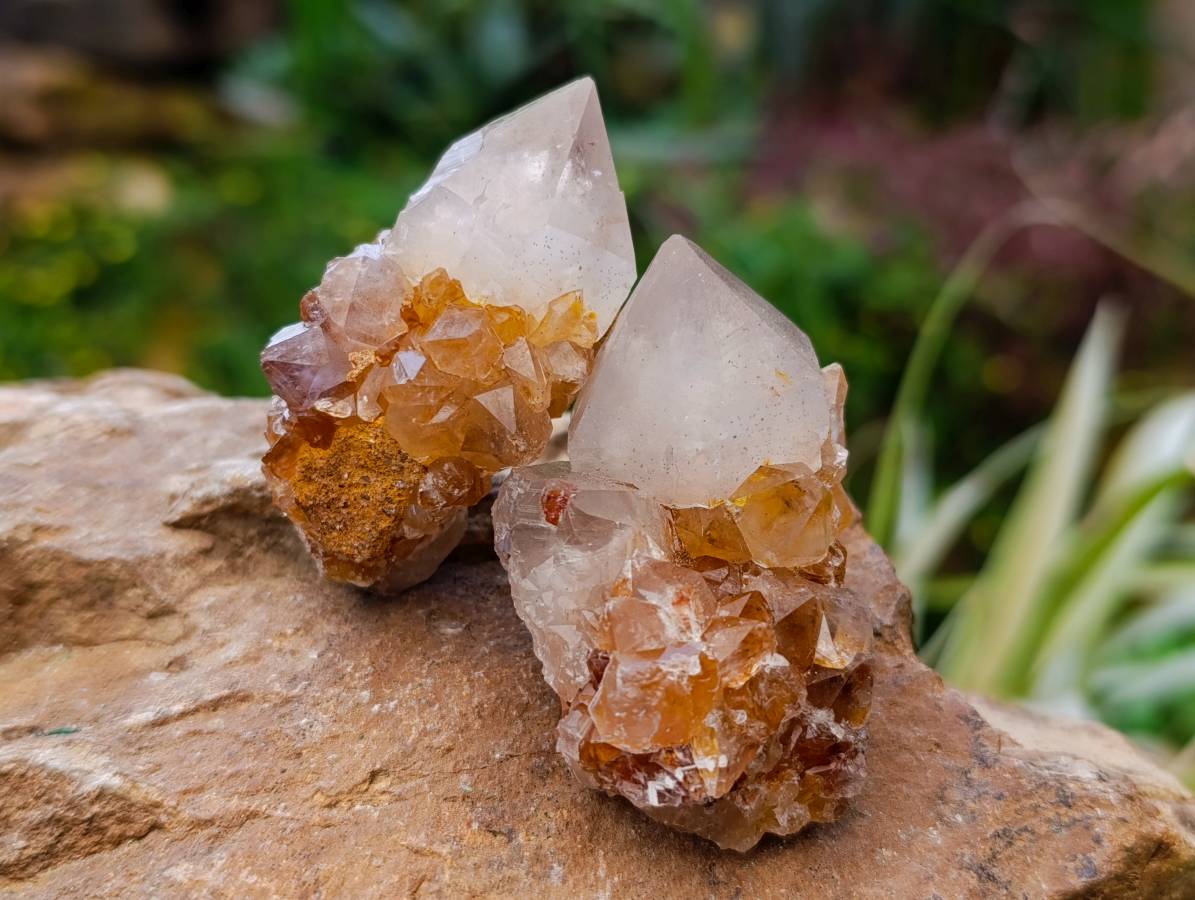 Natural Amethyst and Spirit Quartz Crystals x 20 From Boekenhouthoek, South Africa - Toprock Gemstones and Minerals 