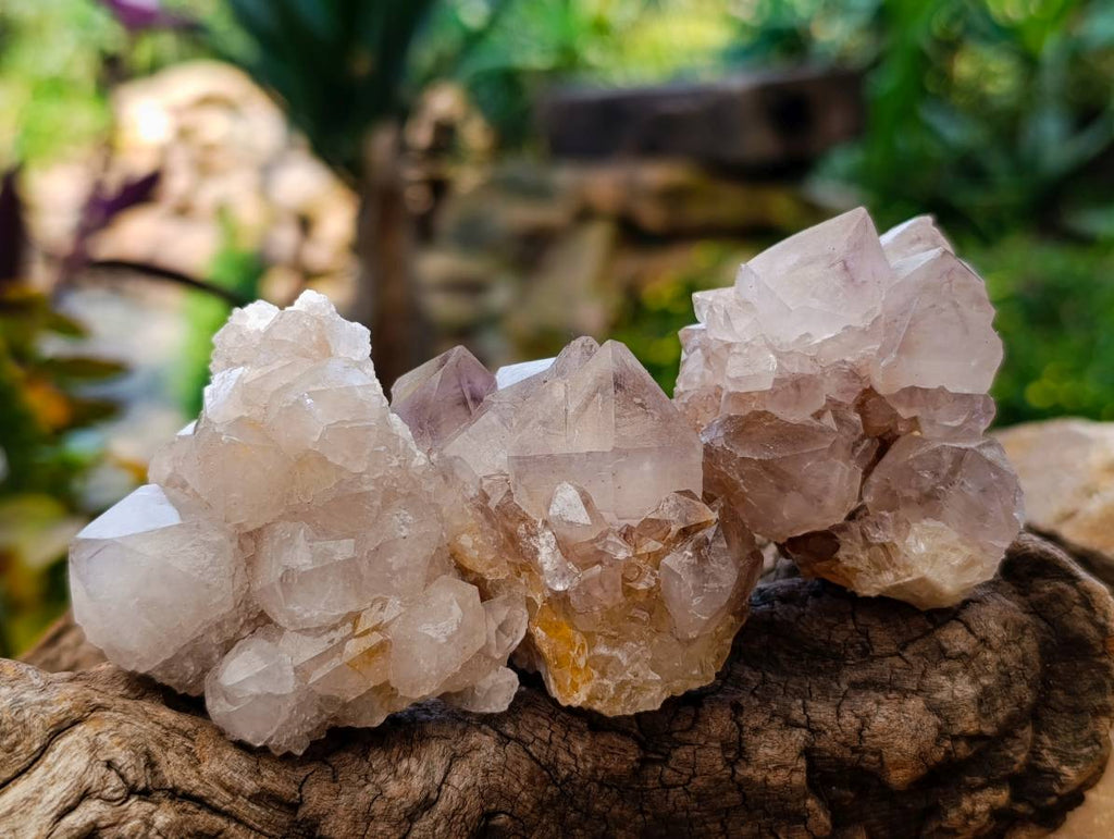 Natural Amethyst and Spirit Quartz Crystals x 20 From Boekenhouthoek, South Africa - Toprock Gemstones and Minerals 