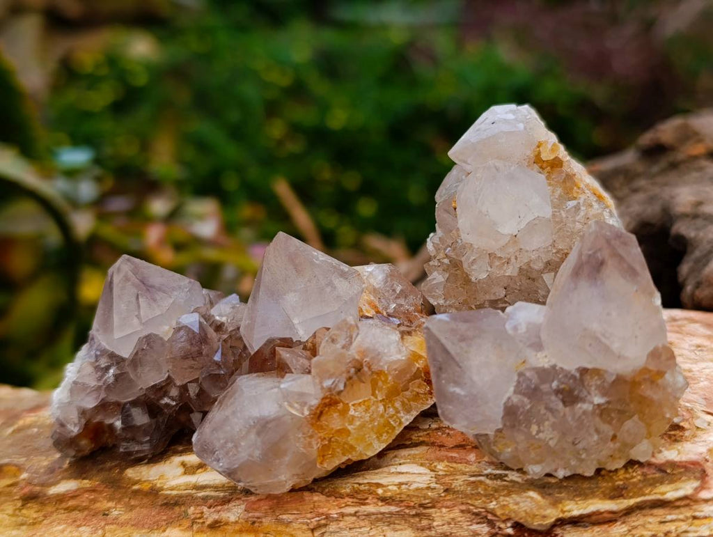 Natural Amethyst and Spirit Quartz Crystals x 20 From Boekenhouthoek, South Africa - Toprock Gemstones and Minerals 