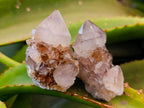 Natural Amethyst and Spirit Quartz Crystals x 20 From Boekenhouthoek, South Africa - Toprock Gemstones and Minerals 