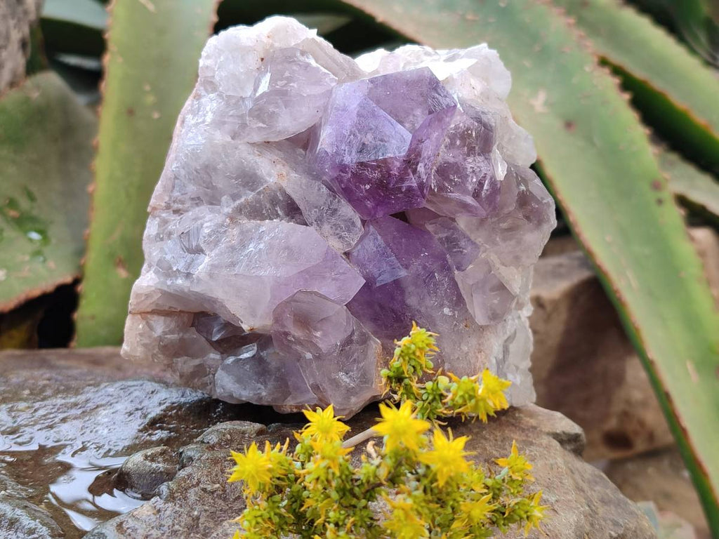 Natural Jacaranda Amethyst Quartz Clusters x 2 From Mumbwa, Zambia - Toprock Gemstones and Minerals 