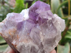 Natural Jacaranda Amethyst Quartz Clusters x 2 From Mumbwa, Zambia - Toprock Gemstones and Minerals 