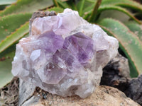 Natural Jacaranda Amethyst Quartz Clusters x 2 From Mumbwa, Zambia - Toprock Gemstones and Minerals 