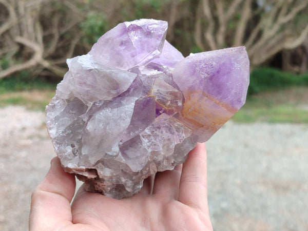 Natural Jacaranda Amethyst Quartz Clusters x 2 From Mumbwa, Zambia - Toprock Gemstones and Minerals 