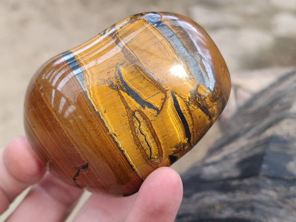 Polished Golden Tiger's Eye Free Forms x 6 From Prieska, South Africa - Toprock Gemstones and Minerals 