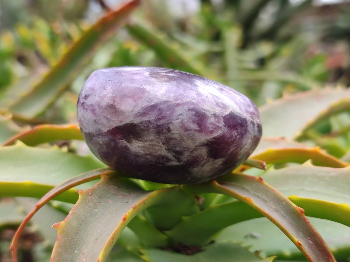 Polished Lepidolite With Pink Rubellite Palm Stones x 12 From Ambatondrazaka, Madagascar - Toprock Gemstones and Minerals 