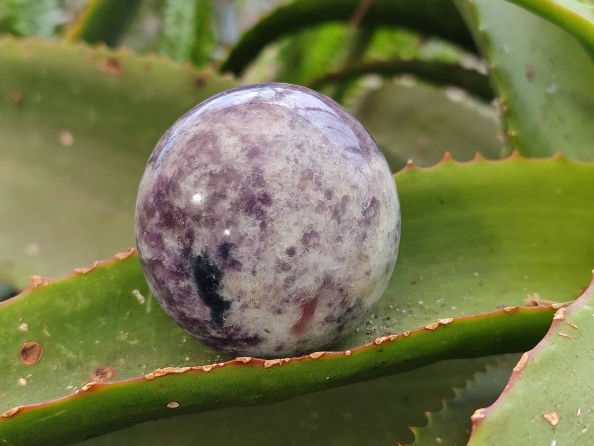 Polished Lepidolite With Pink Rubellite Palm Stones x 12 From Ambatondrazaka, Madagascar - Toprock Gemstones and Minerals 