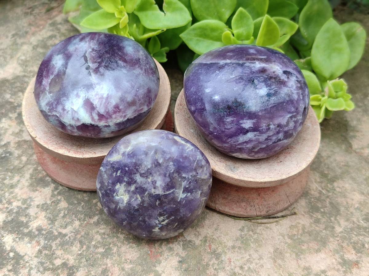 Polished Lepidolite With Pink Rubellite Palm Stones x 12 From Ambatondrazaka, Madagascar - Toprock Gemstones and Minerals 