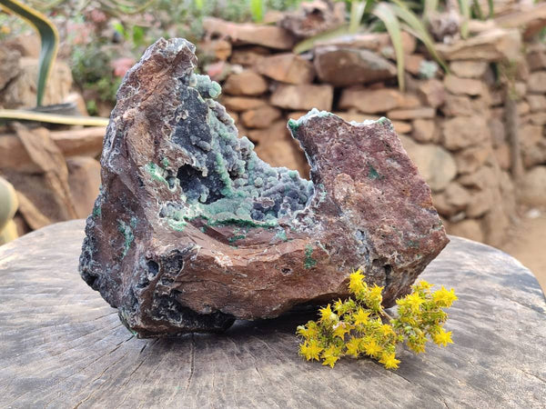 Natural Ball Malachite and Drusy Quartz On Dolomite Matrix Specimens x 1 From Likasi, Congo