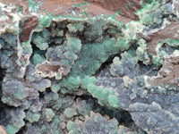 Natural Ball Malachite and Drusy Quartz On Dolomite Matrix Specimens x 1 From Likasi, Congo