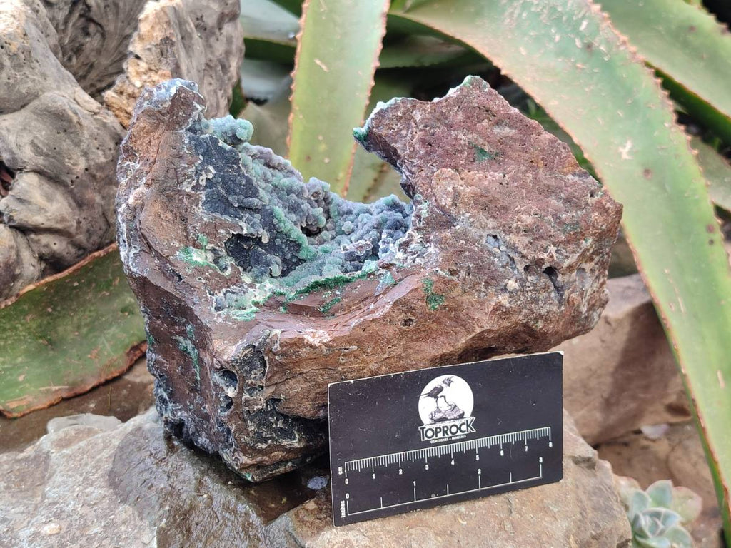 Natural Ball Malachite and Drusy Quartz On Dolomite Matrix Specimens x 1 From Likasi, Congo - Toprock Gemstones and Minerals 