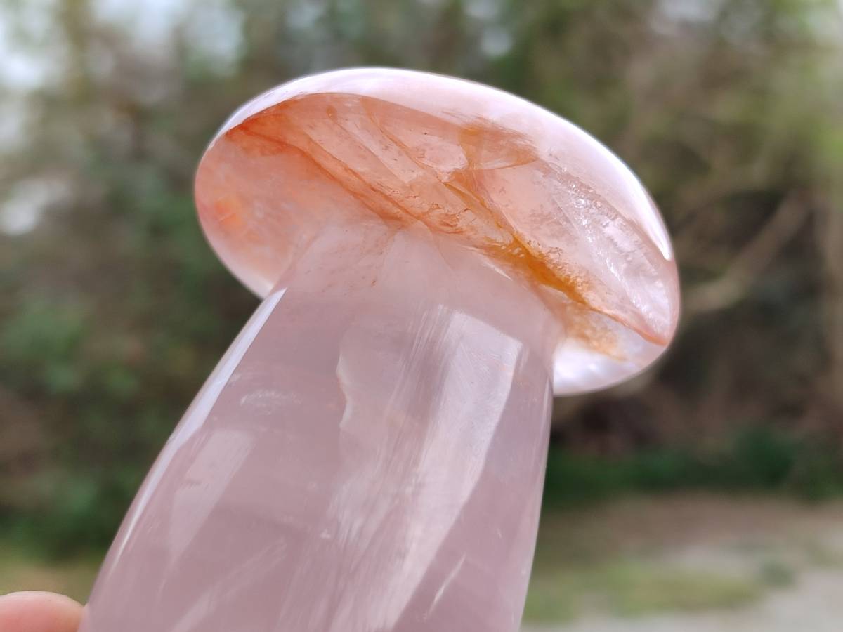 Polished Rose Quartz Mushrooms x 4 From Madagascar - Toprock Gemstones and Minerals 
