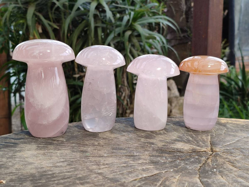 Polished Rose Quartz Mushrooms x 4 From Madagascar - Toprock Gemstones and Minerals 