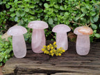 Polished Rose Quartz Mushrooms x 4 From Madagascar - Toprock Gemstones and Minerals 