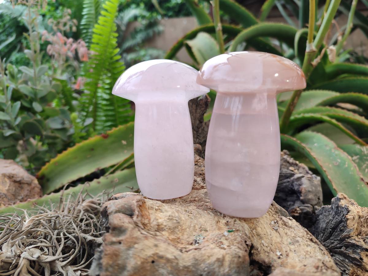 Polished Rose Quartz Mushrooms x 4 From Madagascar - Toprock Gemstones and Minerals 