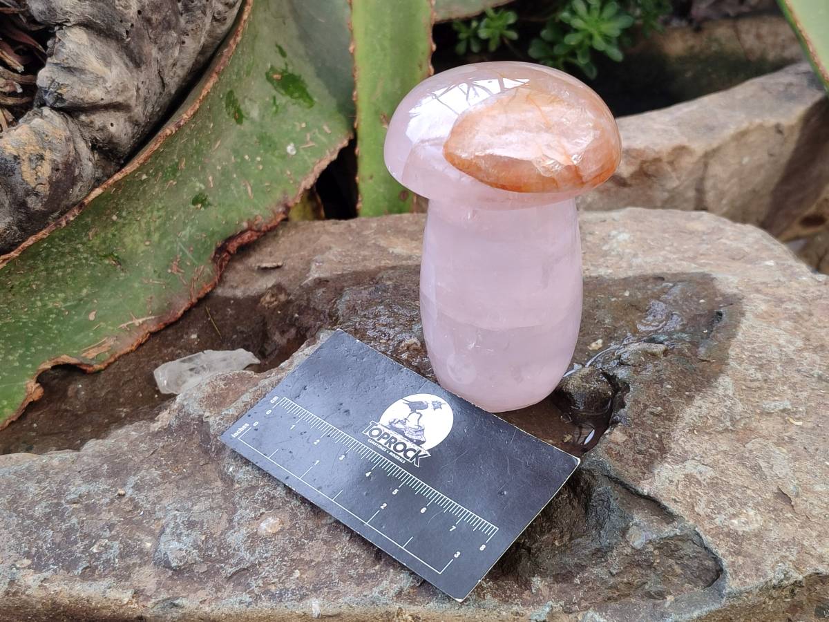 Polished Rose Quartz Mushrooms x 4 From Madagascar - Toprock Gemstones and Minerals 