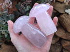 Polished Rose Quartz Mushrooms x 4 From Madagascar - Toprock Gemstones and Minerals 