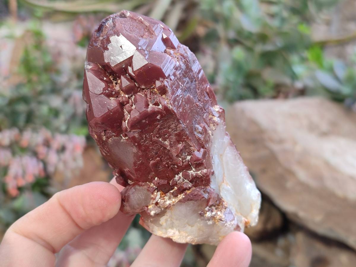 Natural Red Hematoid Quartz Crystals x 6 From Karoi, Zimbabwe - Toprock Gemstones and Minerals 