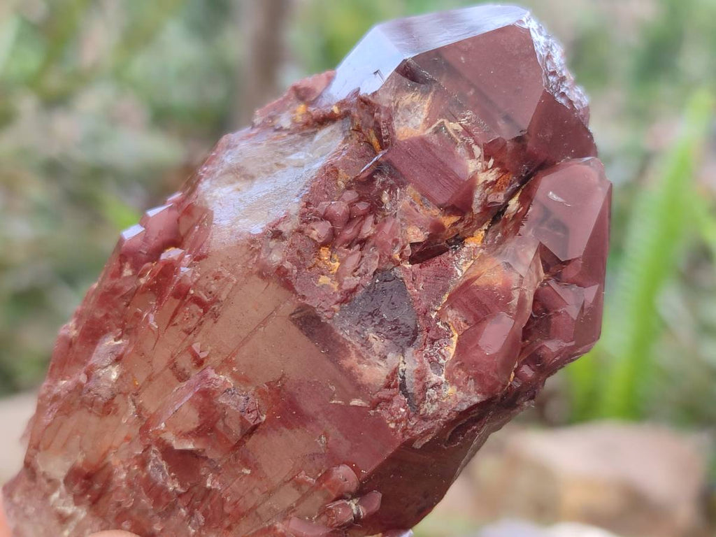 Natural Red Hematoid Quartz Crystals x 6 From Karoi, Zimbabwe - Toprock Gemstones and Minerals 