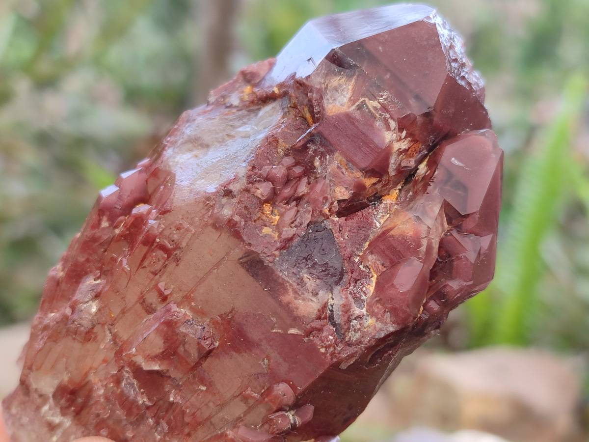 Natural Red Hematoid Quartz Crystals x 6 From Karoi, Zimbabwe - Toprock Gemstones and Minerals 