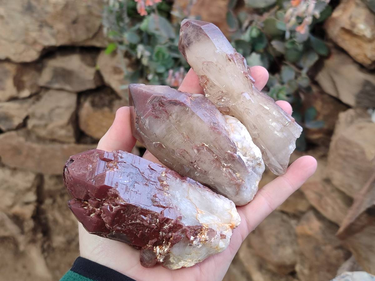 Natural Red Hematoid Quartz Crystals x 6 From Karoi, Zimbabwe - Toprock Gemstones and Minerals 