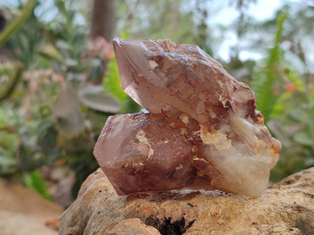 Natural Red Hematoid Quartz Crystals x 6 From Karoi, Zimbabwe - Toprock Gemstones and Minerals 