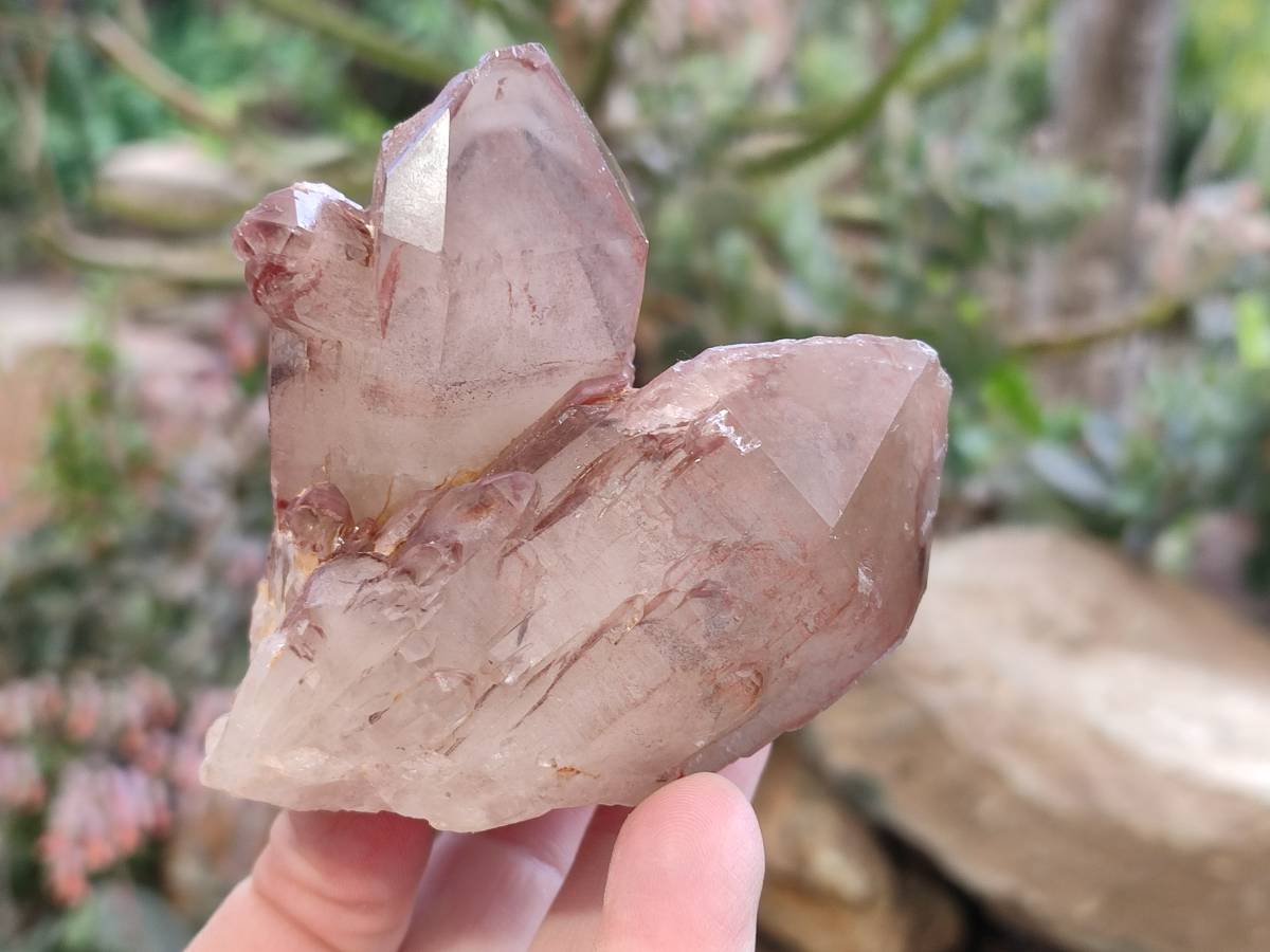 Natural Red Hematoid Quartz Crystals x 6 From Karoi, Zimbabwe - Toprock Gemstones and Minerals 