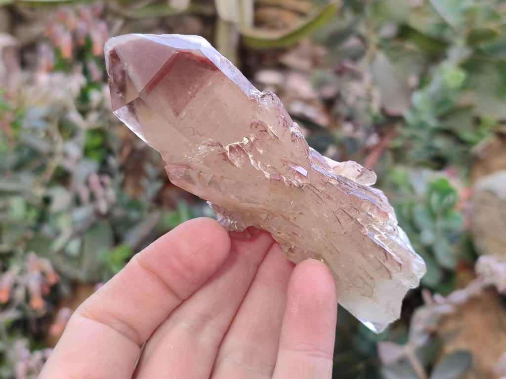 Natural Red Hematoid Quartz Crystals x 6 From Karoi, Zimbabwe - Toprock Gemstones and Minerals 