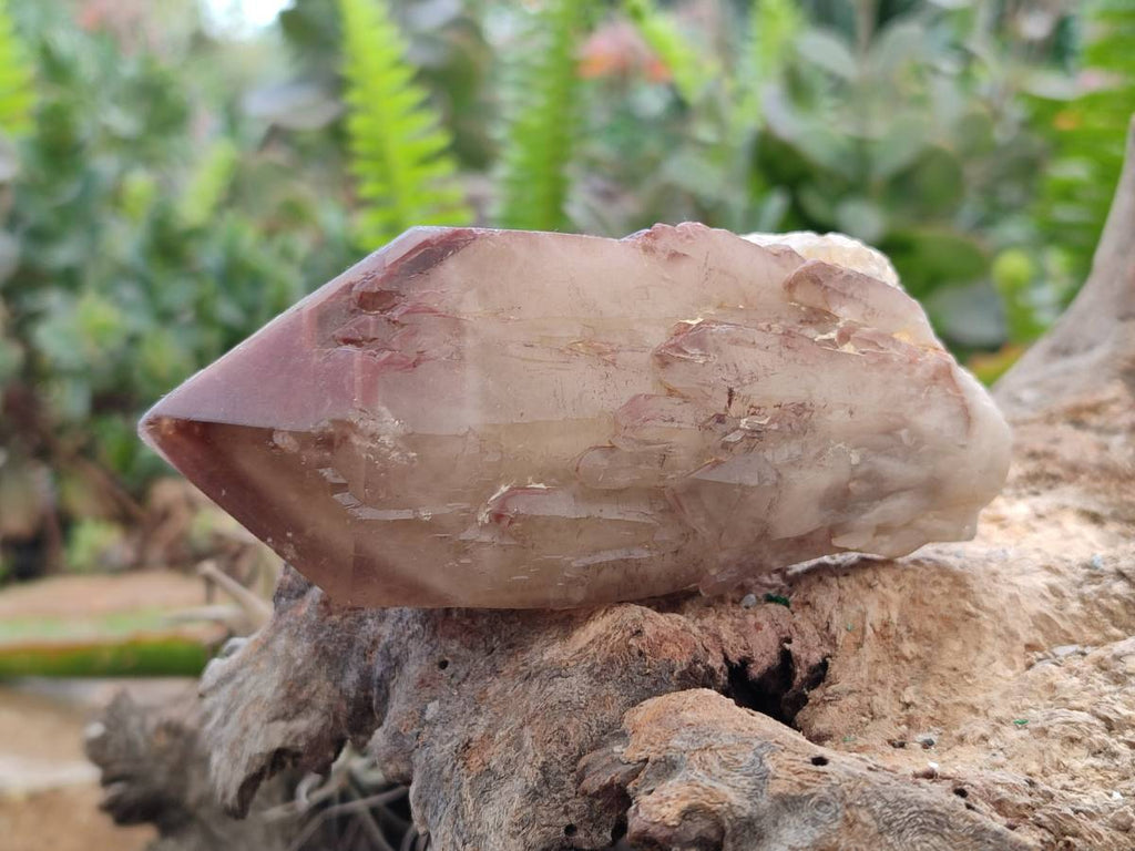 Natural Red Hematoid Quartz Crystals x 6 From Karoi, Zimbabwe - Toprock Gemstones and Minerals 