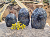 Polished Iolite Water Sapphire Standing Free Form x 3 From Madagascar - Toprock Gemstones and Minerals 