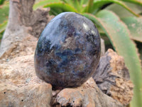 Polished Iolite Water Sapphire Standing Free Form x 3 From Madagascar - Toprock Gemstones and Minerals 