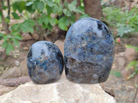 Polished Iolite Water Sapphire Standing Free Form x 3 From Madagascar - Toprock Gemstones and Minerals 