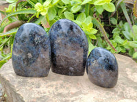 Polished Iolite Water Sapphire Standing Free Form x 3 From Madagascar - Toprock Gemstones and Minerals 