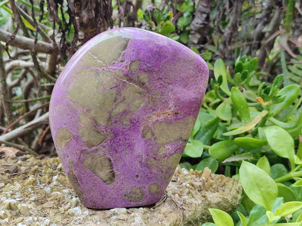 Polished Stichtite Specimens x 2 From Barberton, South Africa - Toprock Gemstones and Minerals 