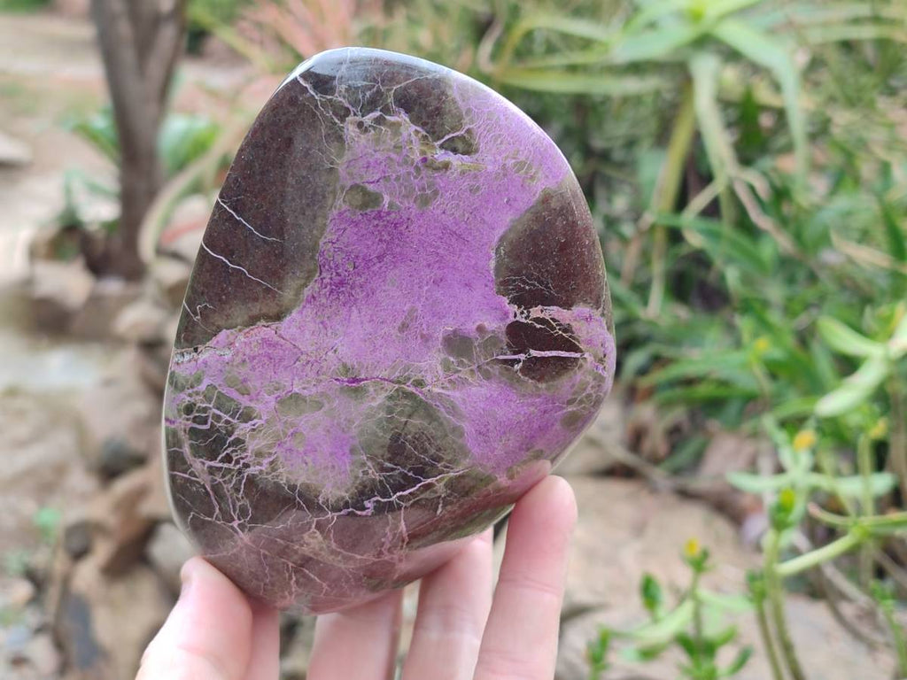 Polished Stichtite Specimens x 2 From Barberton, South Africa - Toprock Gemstones and Minerals 