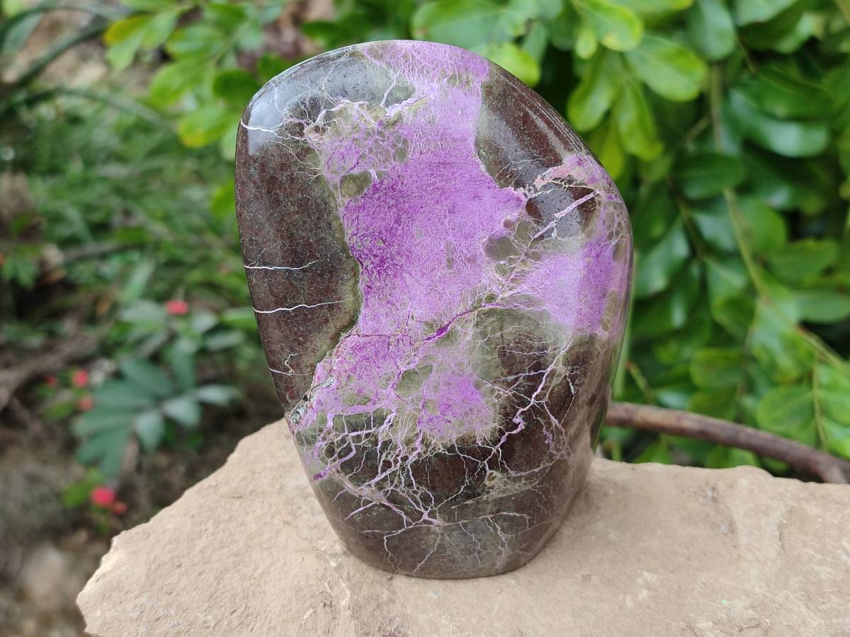 Polished Stichtite Specimens x 2 From Barberton, South Africa - Toprock Gemstones and Minerals 