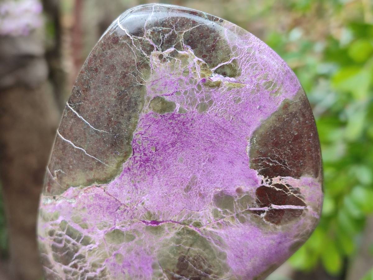 Polished Stichtite Specimens x 2 From Barberton, South Africa - Toprock Gemstones and Minerals 