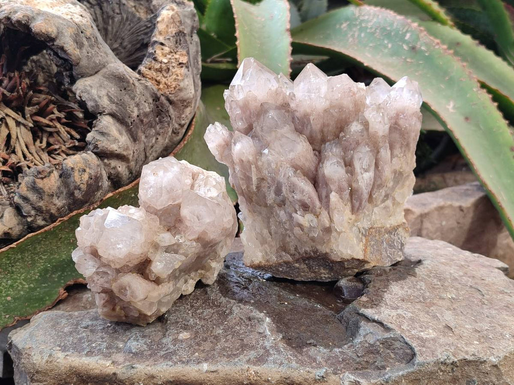 Natural Luena White Phantom Cascading Smokey Quartz x 2 From Luena, Congo - Toprock Gemstones and Minerals 