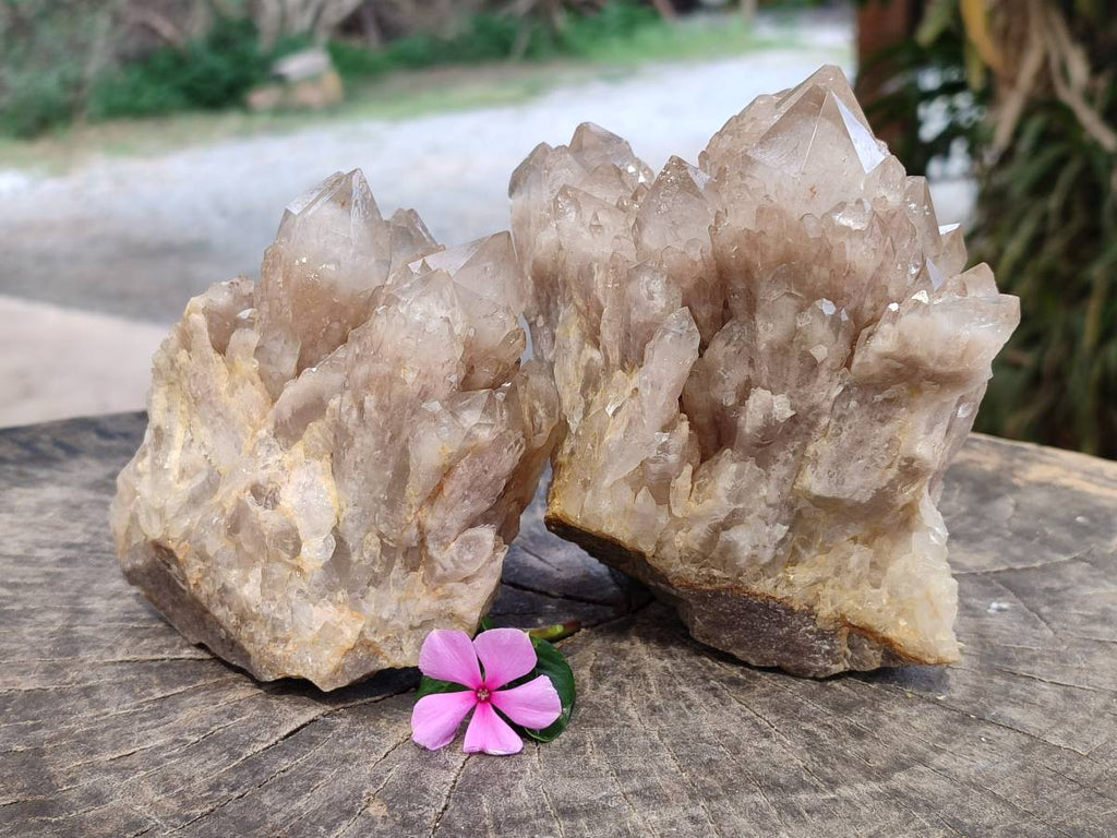Natural Luena White Phantom Cascading Smokey Quartz x 2 From Luena, Congo - Toprock Gemstones and Minerals 