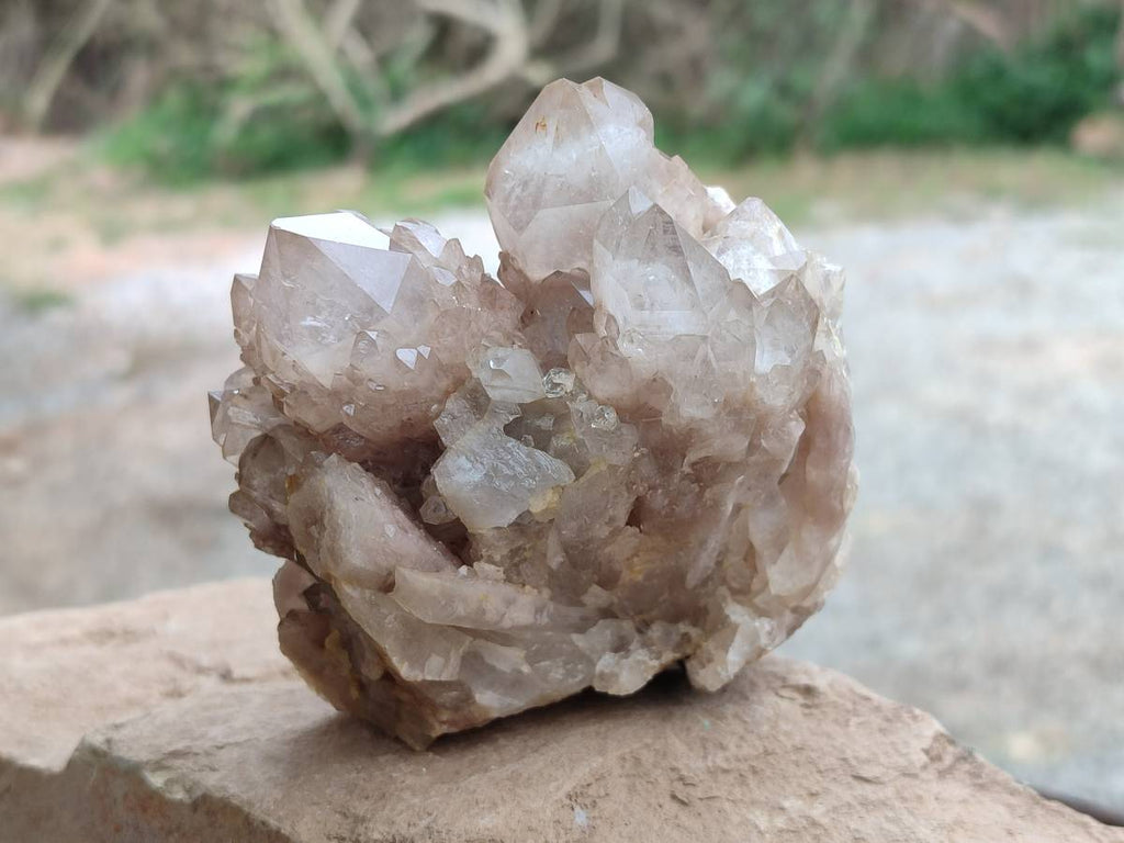 Natural Luena White Phantom Cascading Smokey Quartz x 2 From Luena, Congo - Toprock Gemstones and Minerals 