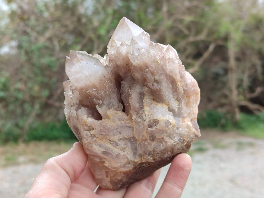Natural Luena White Phantom Cascading Smokey Quartz x 2 From Luena, Congo - Toprock Gemstones and Minerals 