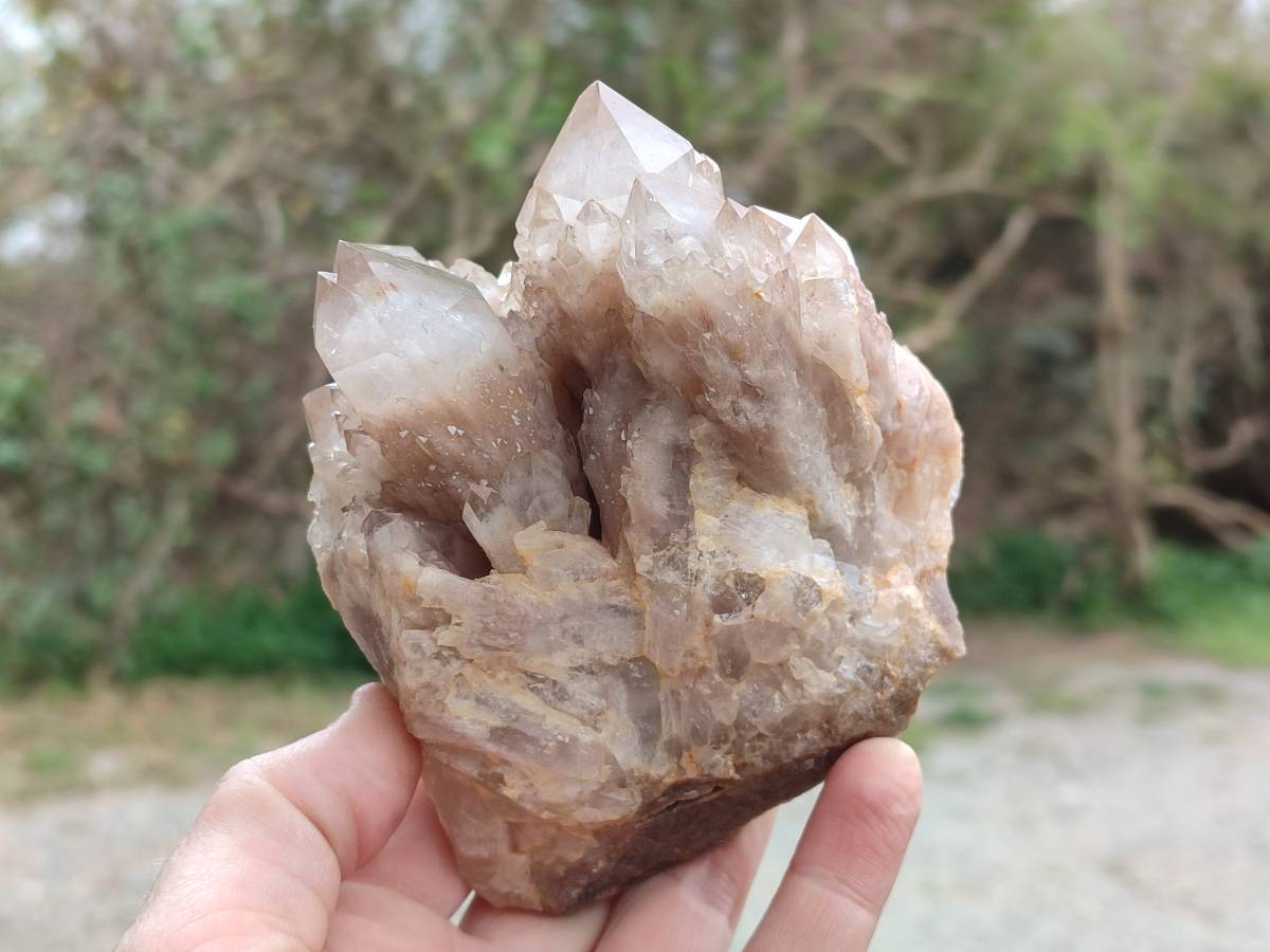 Natural Luena White Phantom Cascading Smokey Quartz x 2 From Luena, Congo - Toprock Gemstones and Minerals 