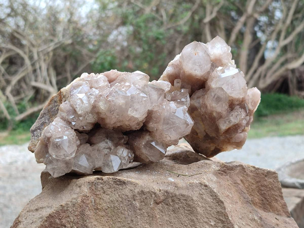 Natural Luena White Phantom Cascading Smokey Quartz x 2 From Luena, Congo - Toprock Gemstones and Minerals 