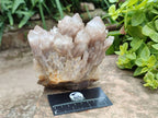 Natural Luena White Phantom Cascading Smokey Quartz x 2 From Luena, Congo - Toprock Gemstones and Minerals 